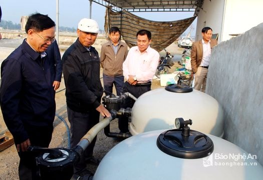 Nghệ An: Áp dụng công nghệ Biofloc ổn định tảo trong đầm nuôi tôm