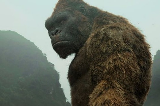 Kong: Skull Island thu 104 tỷ đồng tại Việt Nam sau 7 ngày