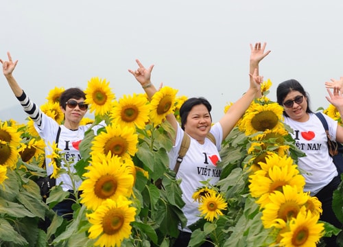 Lần đầu tiên Nghệ An ký hợp tác xúc tiến du lịch công – tư