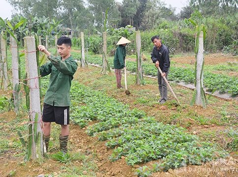 Xã Lạc Sơn (Đô Lương): Hướng tới xây dựng xã nông thôn kiểu mẫu