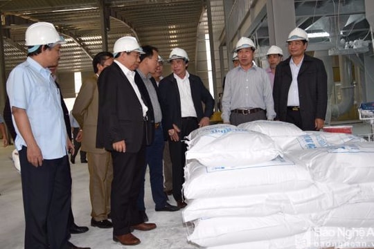 Quỳ Hợp: Xóa quy mô manh mún, hướng tới nền sản xuất lớn