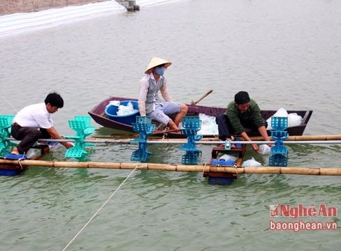 Sửa đổi đơn giá bồi thường cây trồng, vật nuôi là thủy sản và di chuyển mồ mả