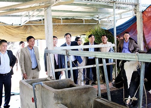 Khắc phục tình trạng gần dân nhưng không trọng dân