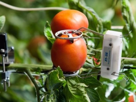 Cơ hội làm thực tập sinh ở Israel cho hàng chục sinh viên Đại học Vinh