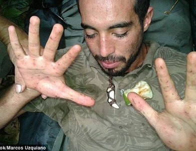 Lạc trong rừng Amazon 9 ngày, du khách được đàn khỉ cứu sống