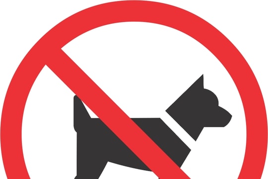 Lạ: Xã hơn nửa thế kỷ 'nói không' với việc nuôi chó