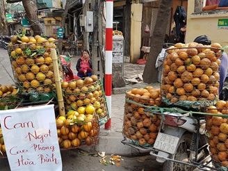 Cam sành Việt Nam có phải là cam Trung Quốc đội lốt?