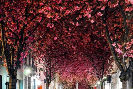 10 đường hầm đẹp mê hồn