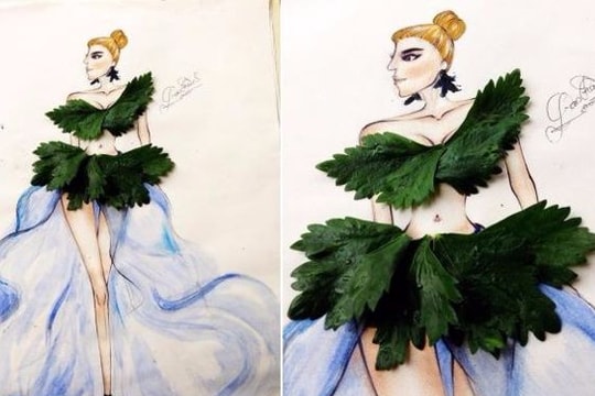 Cô gái Nghệ thiết kế thời trang từ dưa chuột, cần tây, hạt hướng dương...