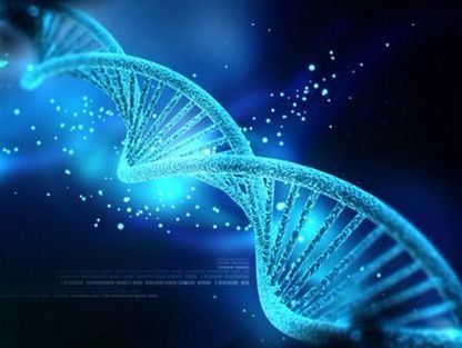 Phi hành gia sẽ dùng 'thuốc cải lão hoàn đồng'?