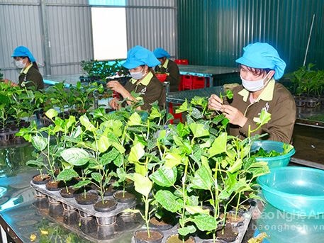 Tạo làn gió mới trong khởi sự doanh nghiệp