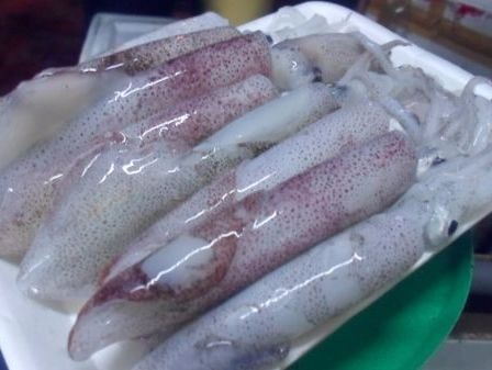 Quỳnh Lưu trúng đậm mực tươi xuất khẩu