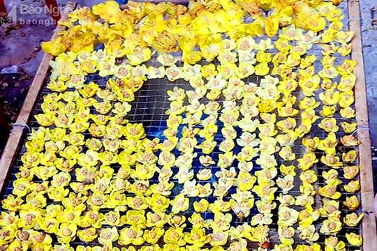 Vì sao hoa chè vàng đắt như vàng?