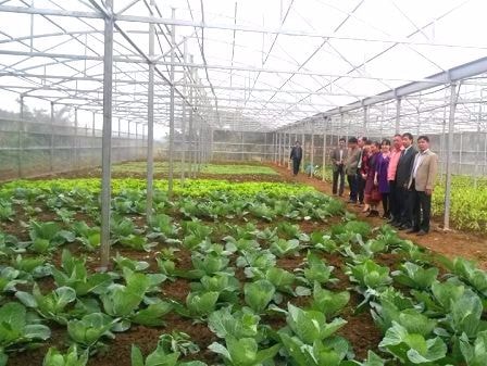 Nghệ An hỗ trợ Xiêng Khoảng (Lào) phát triển nông nghiệp