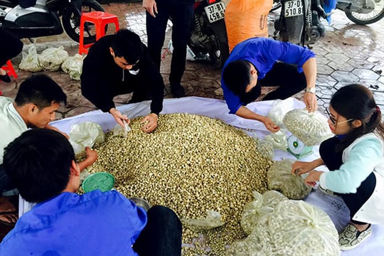 Nghệ An: Những shipper 'giải cứu' hành tăm