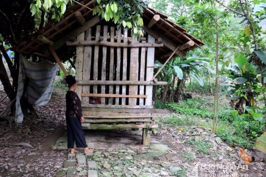 Nước mắt mẹ già hơn 10 năm nuôi con trong cũi