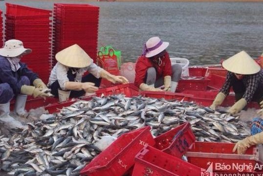 Ngư dân Quỳnh Lưu đóng tàu 'khủng' vươn khơi