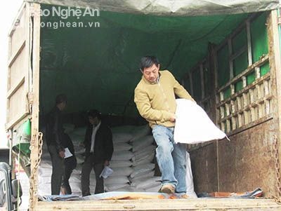 Nghĩa Đàn: Học sinh vùng khó khăn được cấp hơn 56.000 kg gạo