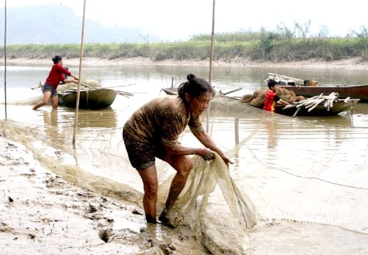 Người dân canh nước, thả đăng bắt tôm trên sông Lam