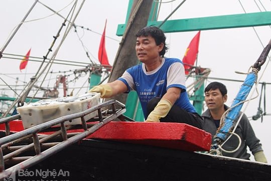 Ngư dân Nghệ An: 'Một ngày không ra khơi là thấy nóng ruột'