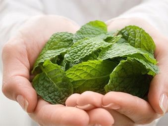 6 bài thuốc đơn giản chữa ngạt mũi, viêm họng