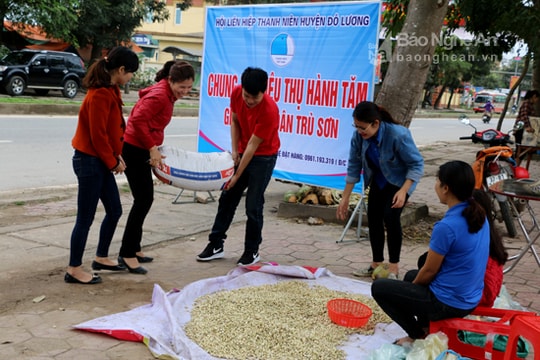 4 tấn hành tăm ở Nghệ An đã được 'giải cứu'