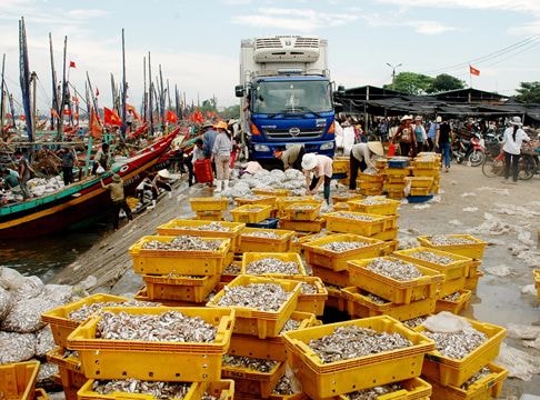 Đừng phụ lòng biển cả!