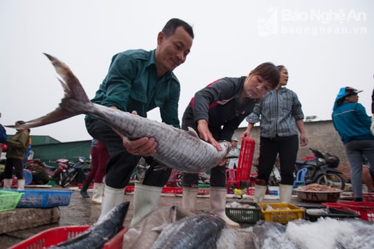 Về Cửa Lò đi chợ cá Hải Giang