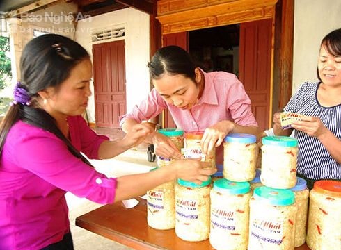 Jica (Nhật Bản) xem xét hỗ trợ nâng tầm thương hiệu nhút Thanh Chương