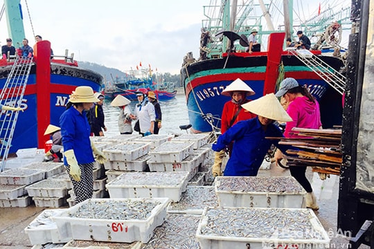 Chính ngư dân quyết định hiệu quả đánh bắt