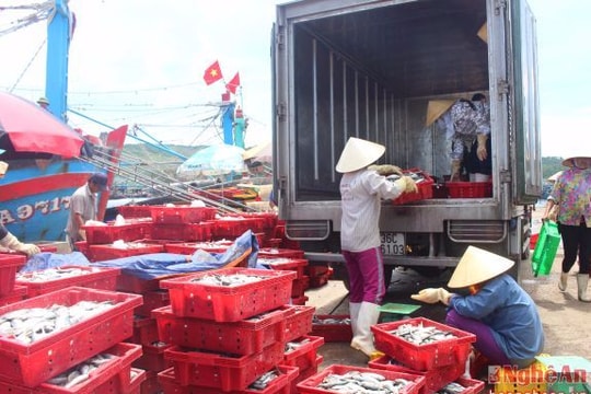 Biển khơi đang làm giàu cho ngư dân miền Trung