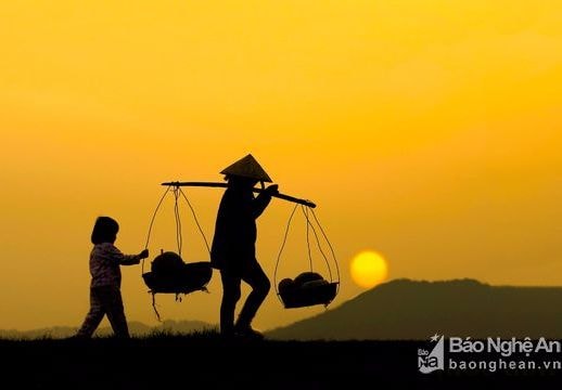Những buổi chiều vàng tuyệt đẹp trên quê Nghệ