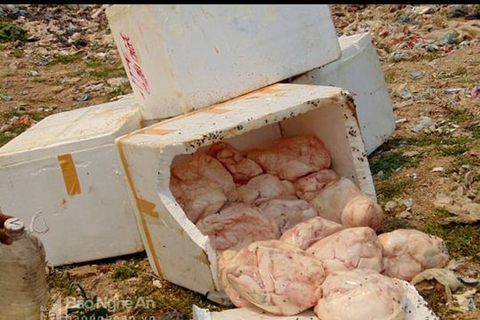 Quỳnh Lưu: Tiêu hủy 235 kg mỡ động vật bốc mùi hôi thối