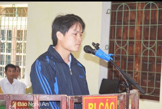 Nghệ An: Xét xử vụ khai thác gỗ Pơ mu trái phép