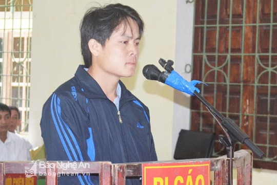 Cán bộ bản lãnh án 3 tháng tù vì khai thác gỗ Pơ mu trái phép