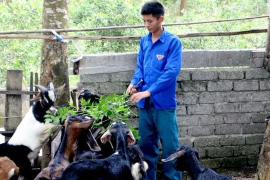 Đồng hành cùng thanh niên lập nghiệp