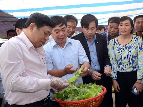 Nghệ An phát động Tháng hành động vì an toàn thực phẩm năm 2017