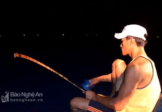 Mùa câu mực nháy, 'cần thủ' thu tiền triệu mỗi đêm ở Nghệ An