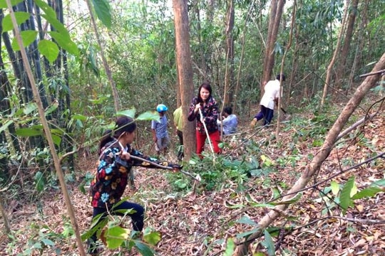 Mùa cháy rừng: Thiếu lực lượng và phương tiện chữa cháy