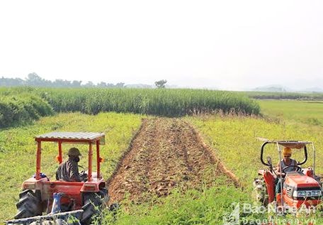 Tích tụ ruộng đất làm sao để nông dân được hưởng lợi nhiều nhất