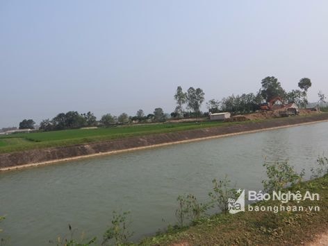 Người đàn ông tử vong bất thường dưới mương thủy lợi