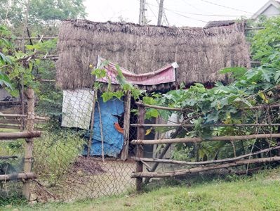 Trái khoáy con trai 'nhà cao cửa rộng', mẹ già ở lều tranh