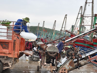 Người dân Nghệ An làm giàu từ dịch vụ hậu cần nghề cá