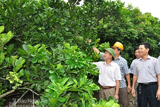 Thanh Chương: Chú trọng đổi mới phong cách làm việc
