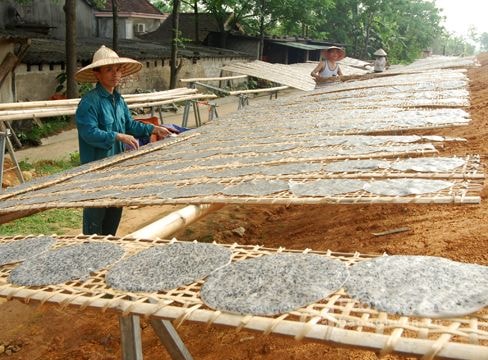 Giữ lửa cho làng nghề bánh đa ở Thanh Chương