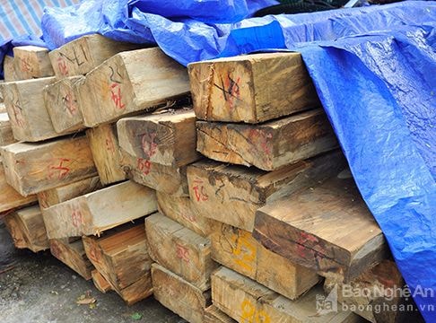 Kỳ Sơn: Siết chặt trách nhiệm giữ rừng