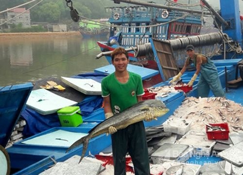 Thu nhập 500 triệu đồng mỗi chuyến biển bằng 'tàu 67'