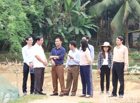 Nghệ An có 4 xã, 25 thôn bản ra khỏi chương trình 135