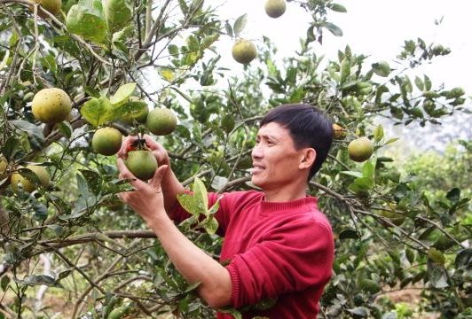 Trải lòng của đại biểu hội đồng nhân dân từng vướng vào ma túy