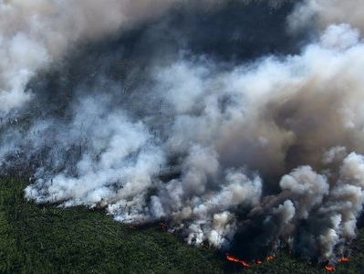 Năm 2017 nắng nóng nhất lịch sử?